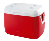 NEVERA DE 55 L - ROJO
