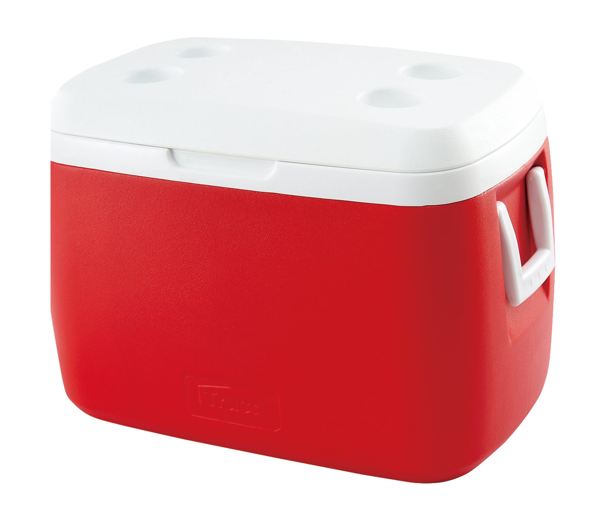 NEVERA DE 55 L