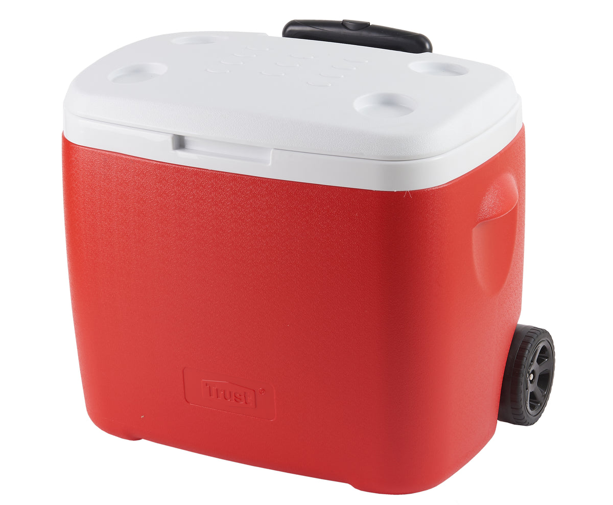 NEVERA CON RUEDAS DE 48 L